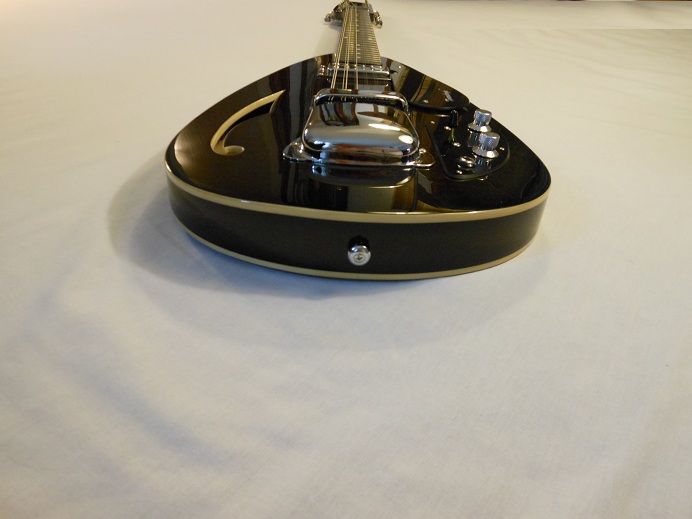 Teardrop Hollow Body 12 String Picture 12